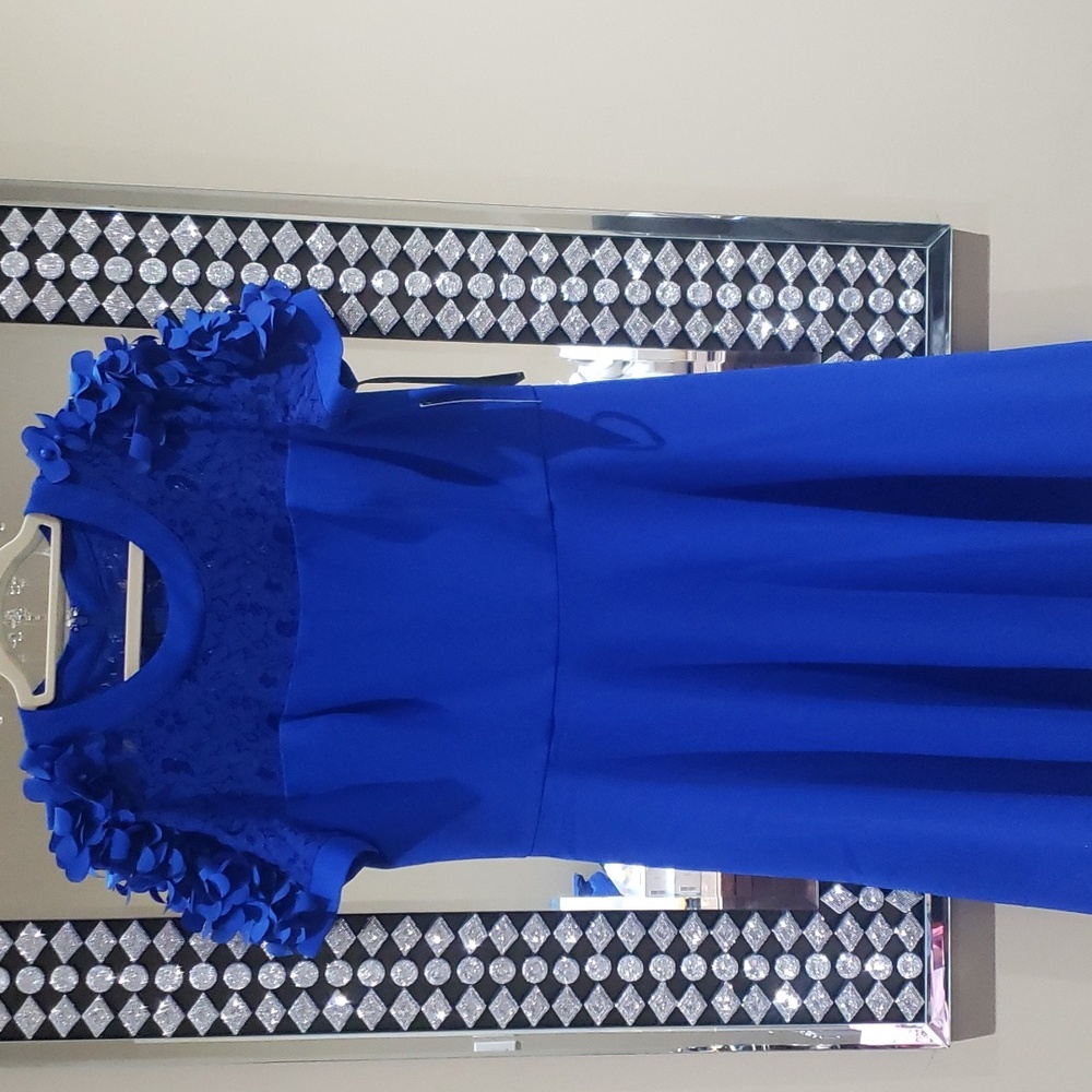 Nwt Shani coctail dress ๐ 14 blue - Picture 4 of 17